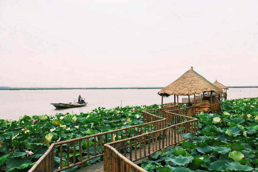 阳澄湖莲花岛